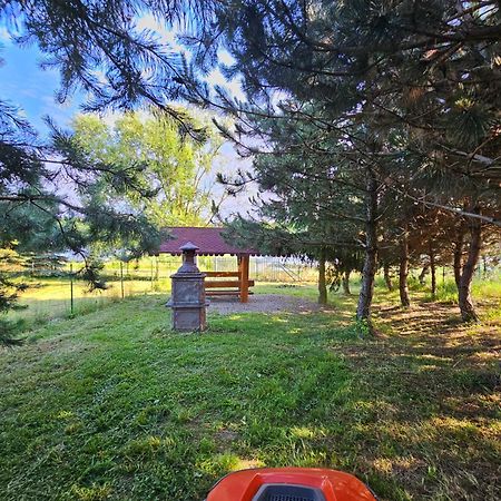 Apartamenty Jasmin I Lilia Jez. Sunowo Kolo Elku Chrzanowo エクステリア 写真